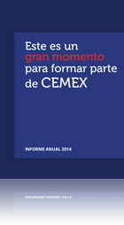 Informe Anual 2014